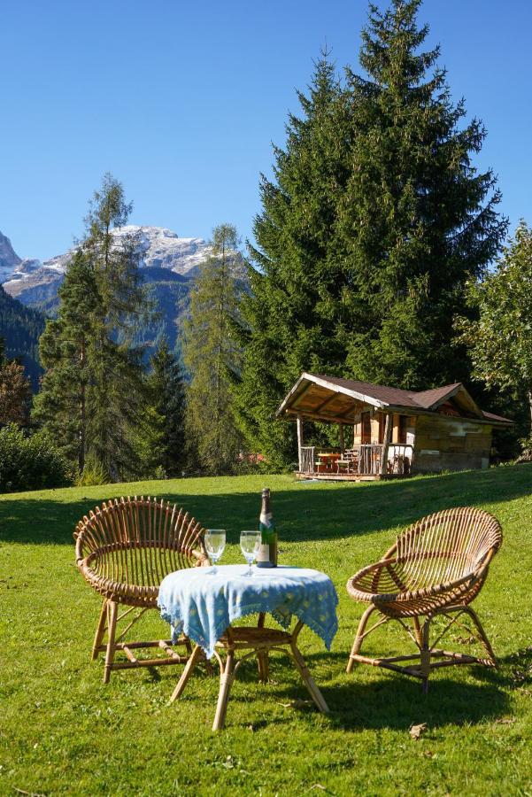 Tana Del Picchio Appartement Falcade Buitenkant foto
