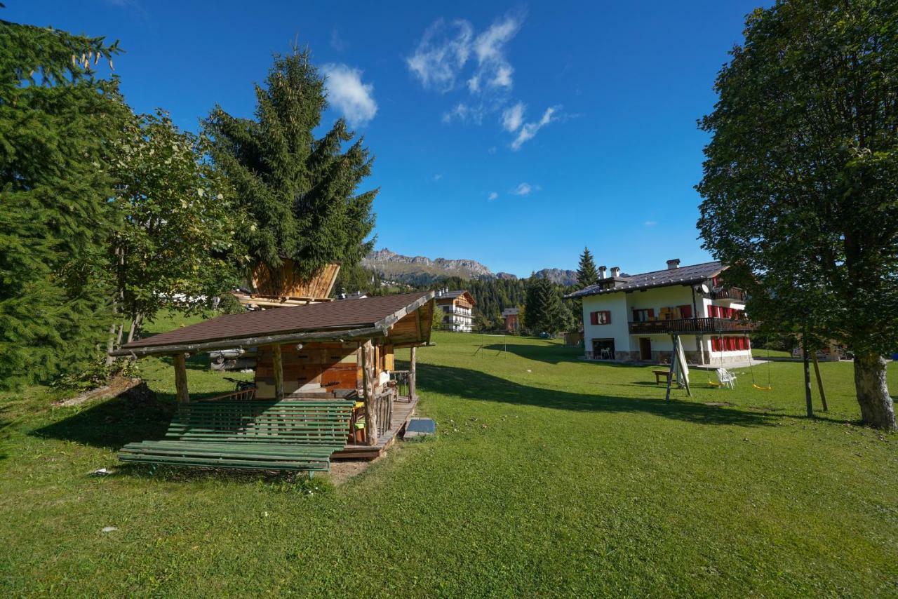 Tana Del Picchio Appartement Falcade Buitenkant foto